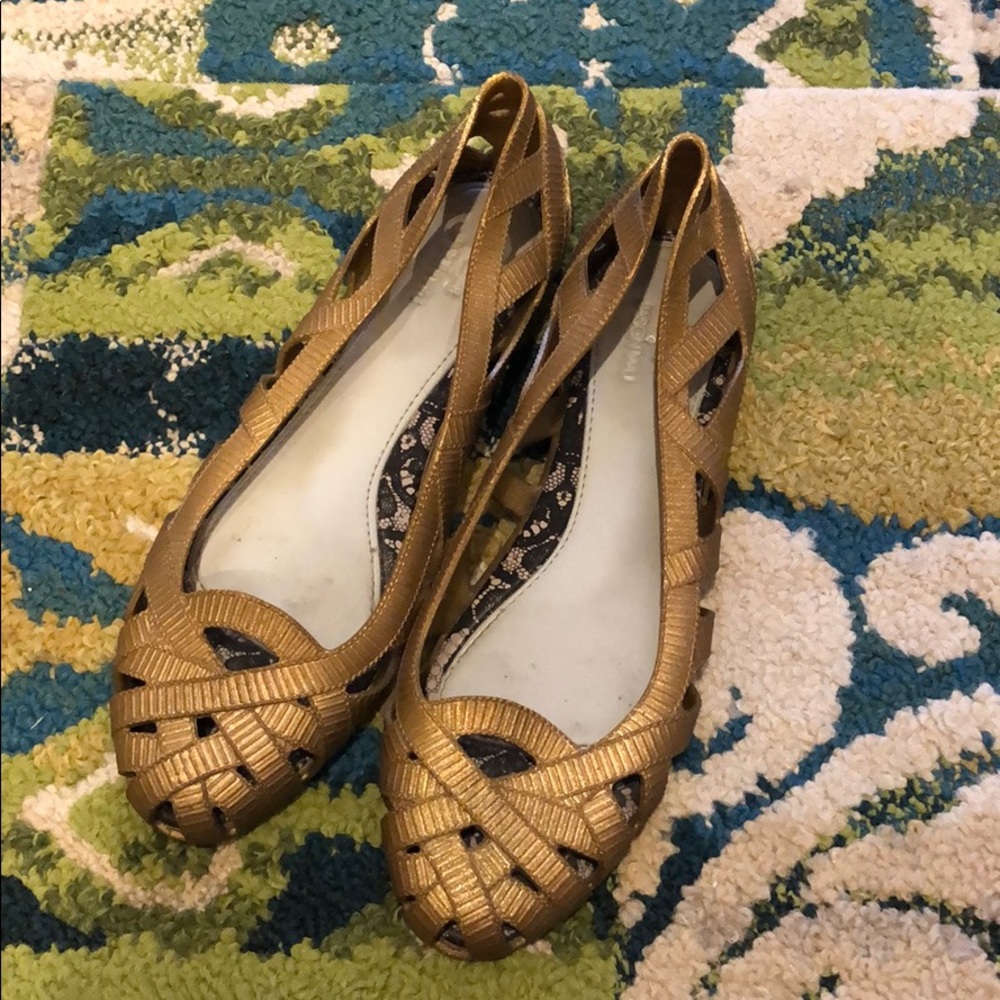 Melissa + Jason Wu Jelly Flats